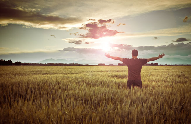 未来食品福利假想