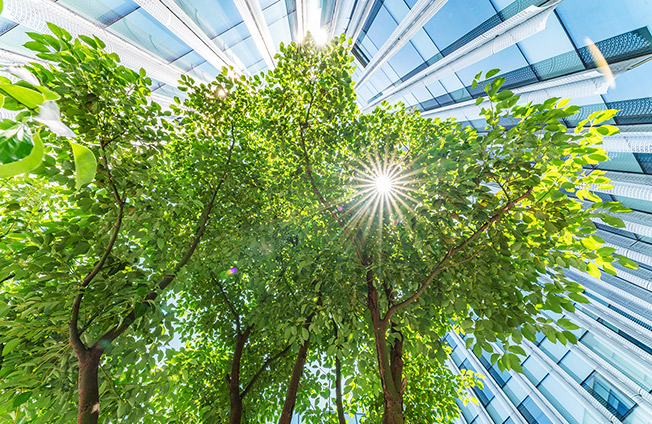 共生经济:通过电源连通创造值