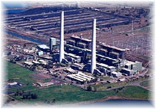 Liddell电站:植物视图