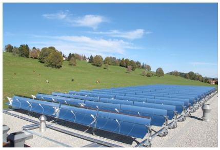 Emmitede Moine茄子